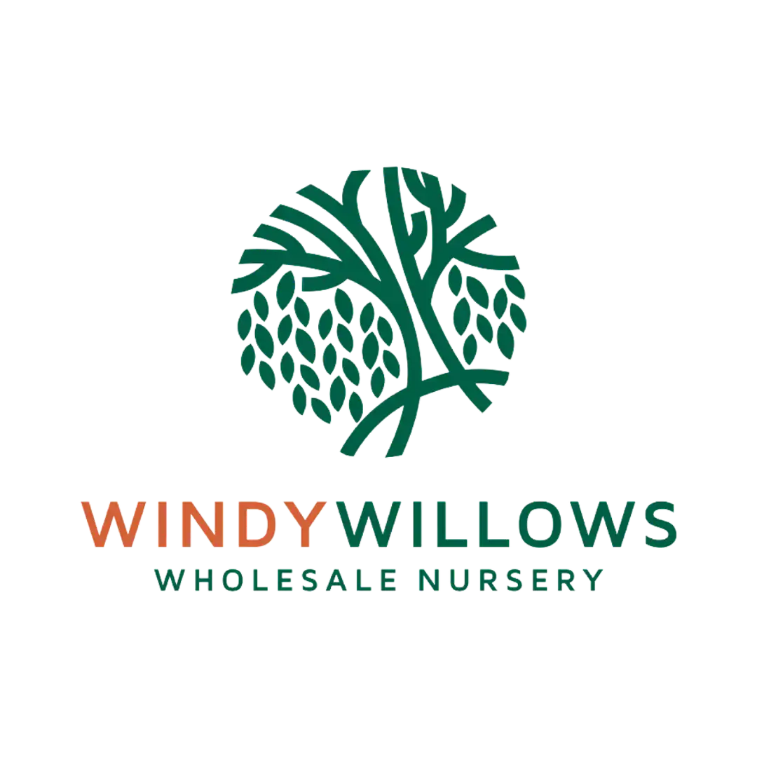 windy willows logo png